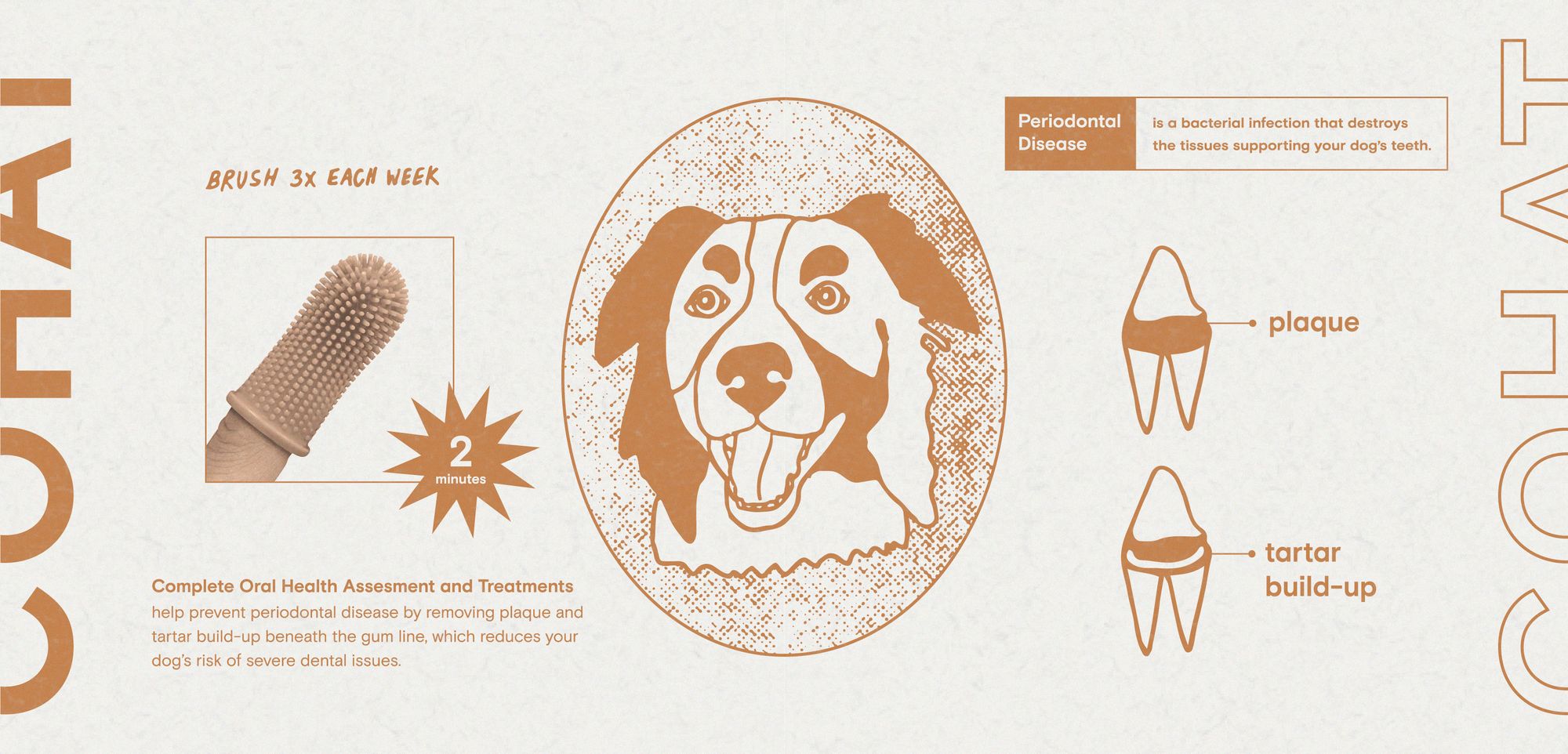 COHAT: Comprehensive Oral Health Assessment (for dogs)